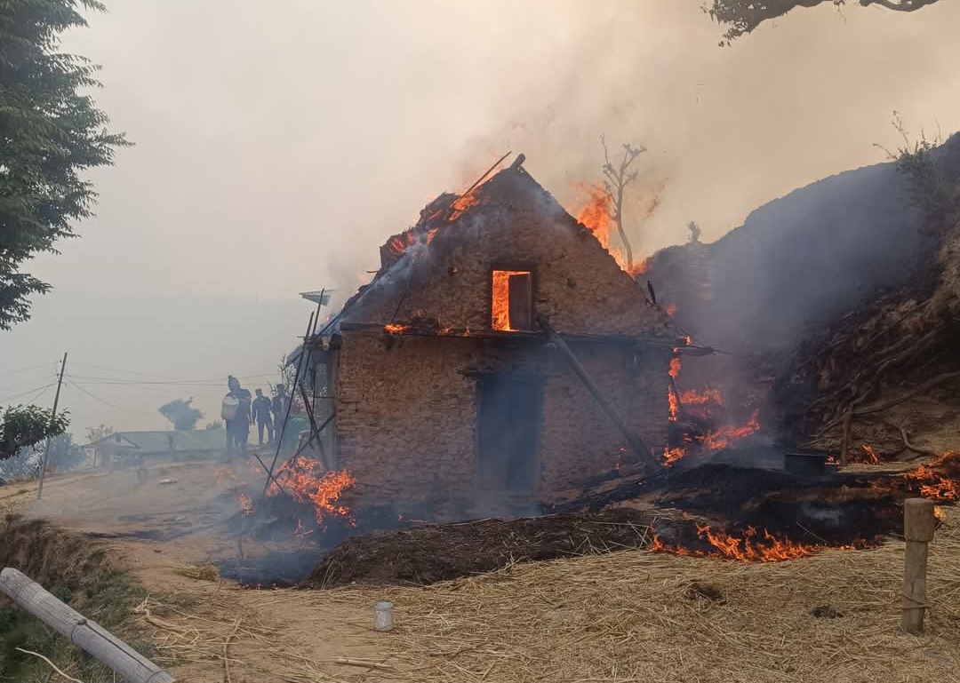 सल्यानमा जङ्गलमा लागेको आगो बस्तीमा पस्दा दुई घर जलेर नष्ट
