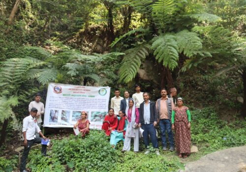 सल्यानमा दुर्लभ बिरुवा संरक्षण , अभियानमा जुट्याे वनस्पति अनुसन्धान केन्द्र