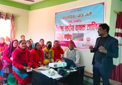 सल्यानमा व्यवसायिक प्याज खेती प्रवर्धनका लागि तीन दिने तालिम सञ्चालन