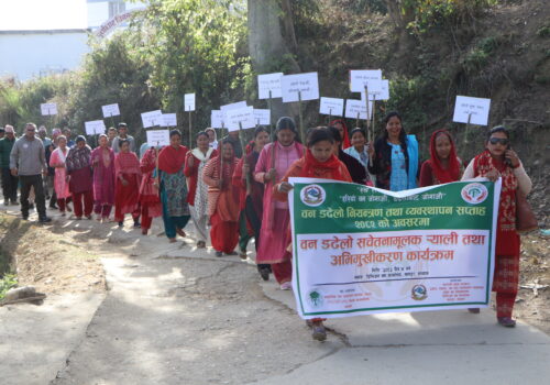 वन डढेलो नियन्त्रण तथा व्यवस्थापनलाई प्रभावकारी बनाउन सप्ताहव्यापी कार्यक्रम सुरु