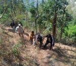 सल्यानमा अटाे दुर्घटना हुँदा ५ जना घाइते