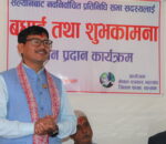 सरकारले लोकतन्त्र र लोकतान्त्रिक संस्थामाथि अंकुश लगाउन खोजेको छ : सांसद मल्ल