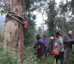 सल्यानमा दिगो वन व्यवस्थापन कार्यक्रममा प्रहरी र वन बीच टकराप