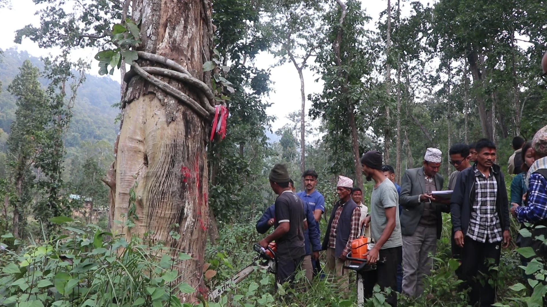 सल्यानमा दिगो वन व्यवस्थापन कार्यक्रममा प्रहरी र वन बीच टकराप