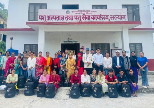 सल्यानमा निःशुल्क पिपिआर खोप अभियान सञ्चालन