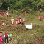 विश्व वातावरण दिवसमा सल्यानभर वृक्षारोपण
