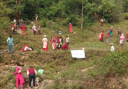 विश्व वातावरण दिवसमा सल्यानभर वृक्षारोपण