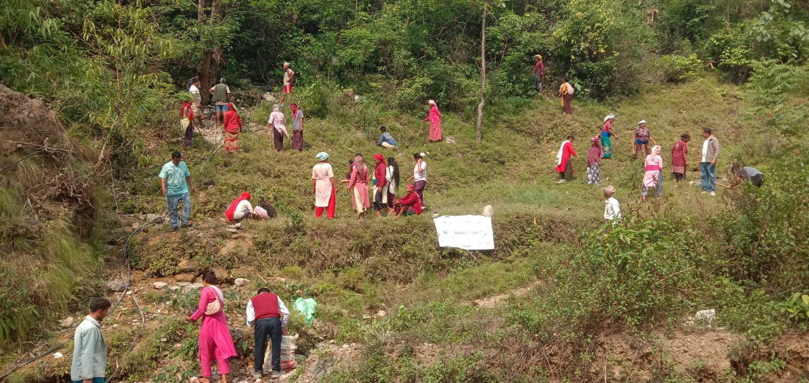 विश्व वातावरण दिवसमा सल्यानभर वृक्षारोपण