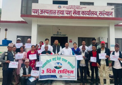 सल्यानमा व्यावसायिक गाईभैंसी पालन सम्बन्धी तालिम सम्पन्न, १८ किसान लाभान्वित