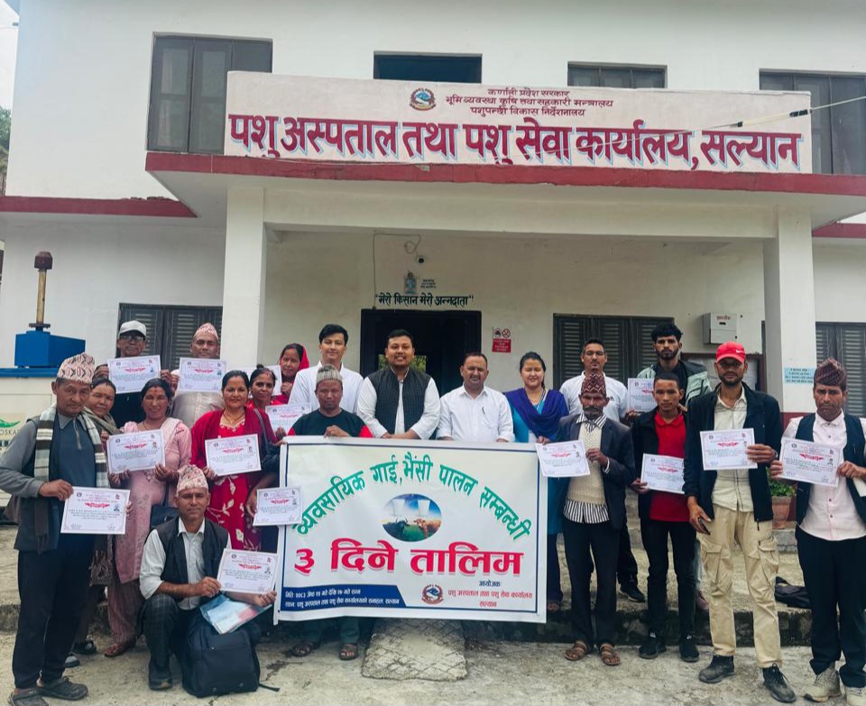 सल्यानमा व्यावसायिक गाईभैंसी पालन सम्बन्धी तालिम सम्पन्न, १८ किसान लाभान्वित
