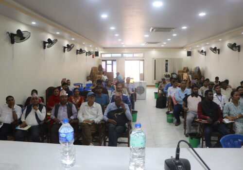 ९ जिल्लाका बीउ उत्पादक, व्यवसायी र उद्योगीसँग अदुवा तथा बेसार प्रवद्र्धनबारे छलफल