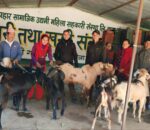 सल्यानमा एउटै पालिका बाट ४ करोड ७० लाख भन्दा बढिको खसी निकासी